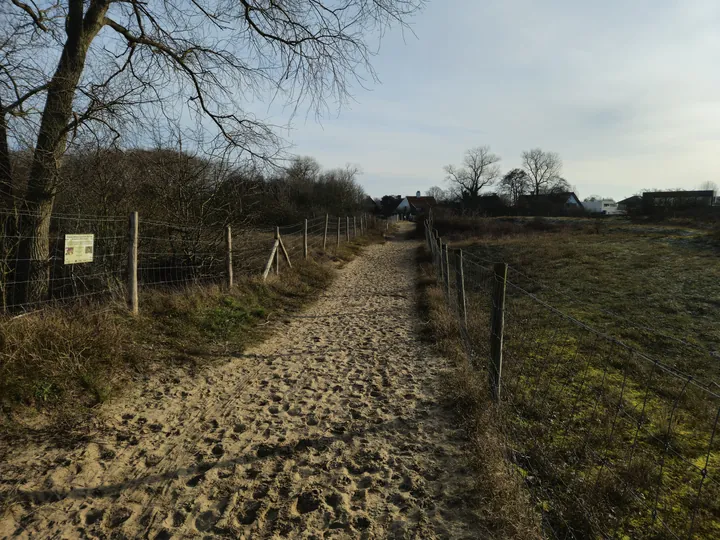 Oostnieuwkerke duinen wandeling in de koude (België)